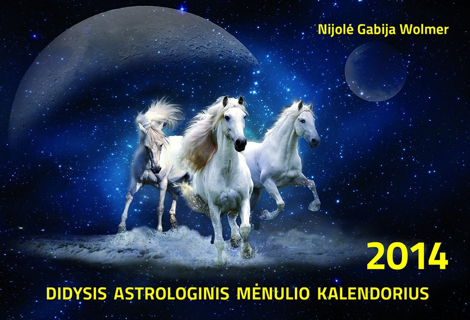 2014 m. sausio mėnesio prognozė
