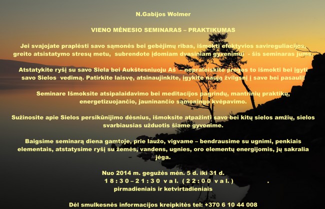 NGW_menesio_seminaras_1