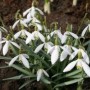images-1