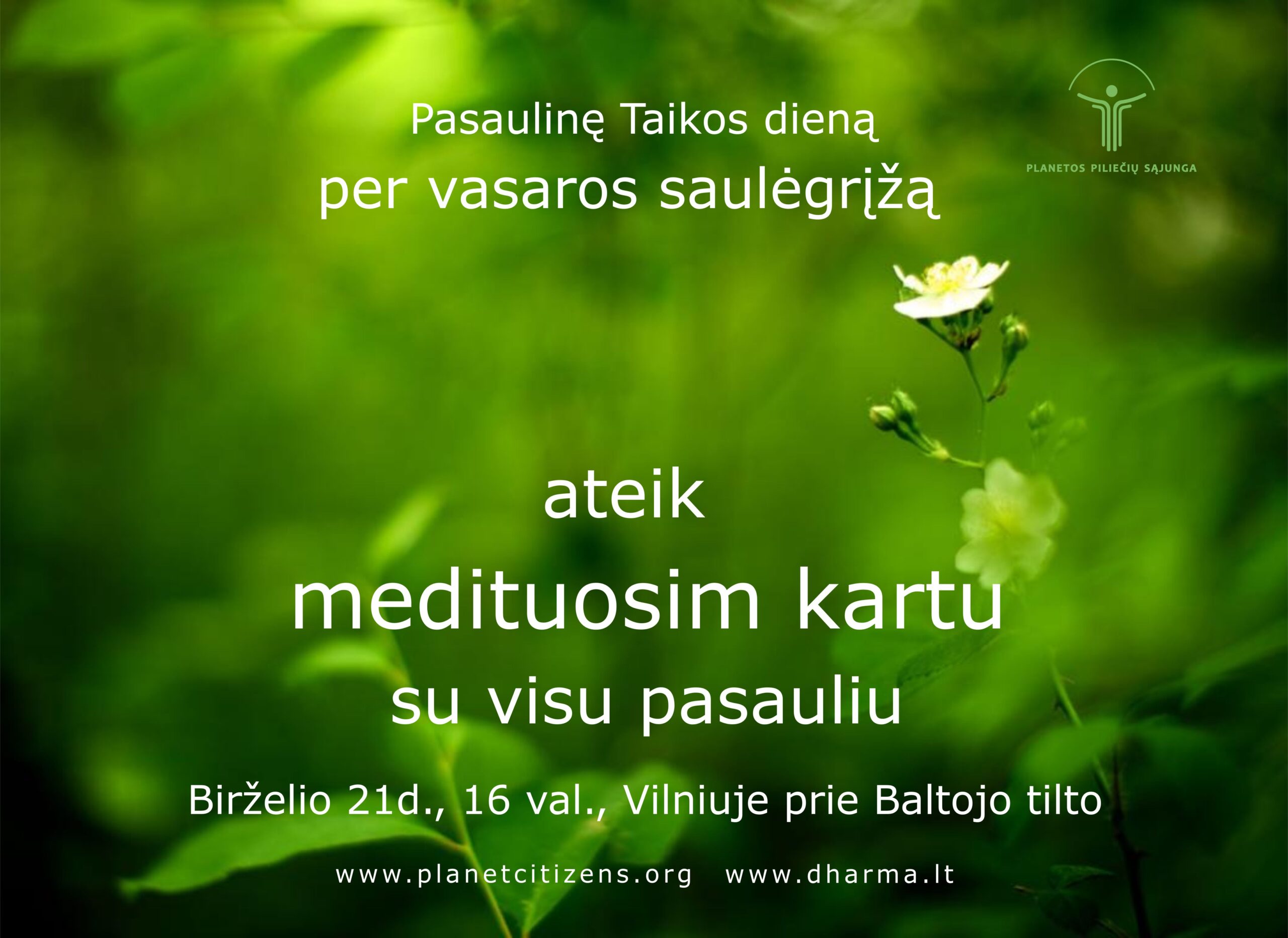 Pasaulinė Taikos diena