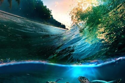 tropical-sunset-life-under-water_746370230