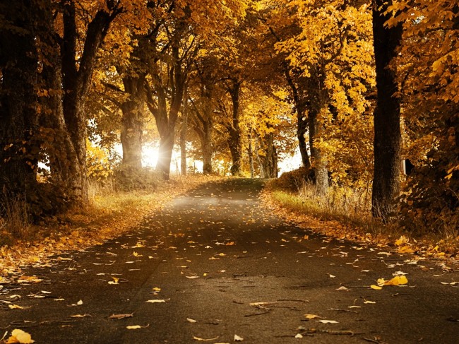 Autumn-days
