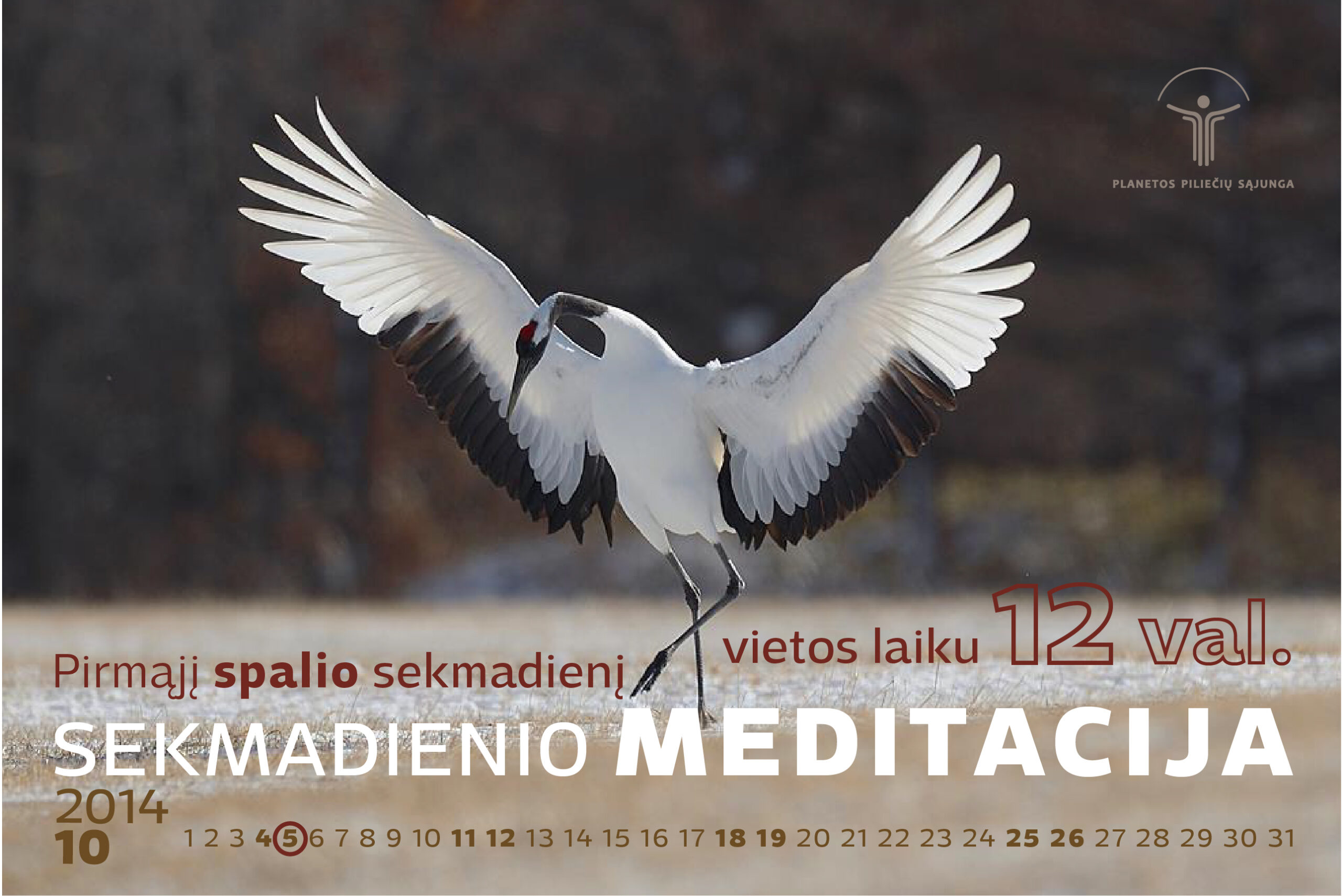Sekmadienio meditacija spalio 5 d.