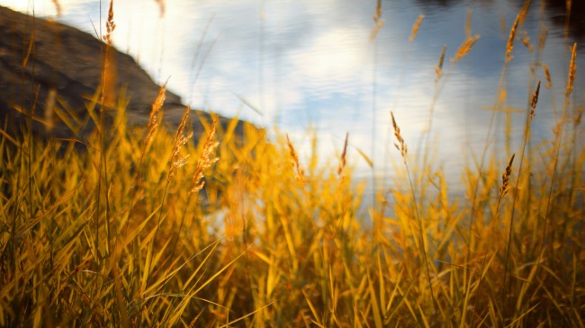 autumn-2012-wallpaper-ful-hd-1080p-Wonderful-autumn-colors