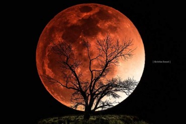 800px-Blood-Moon-Eclipse-CC-Christian_Ronnel