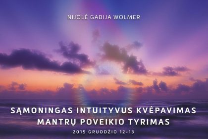 2015.12.12-13_N.G.Wolmer_seminaras