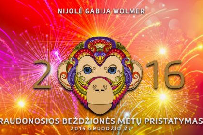 NGWolmer-2016-METU-PRISTATYMAS