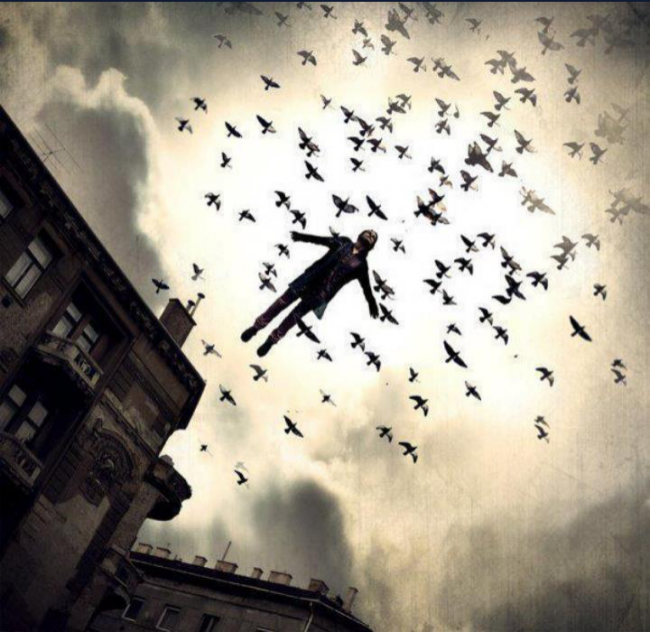 i can fly