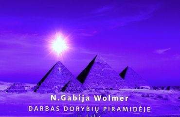 N. Gabija Wolmer seminaras 2016-11-12-13 DARBAS DORYBIŲ PIRAMIDĖJE, II dalis
