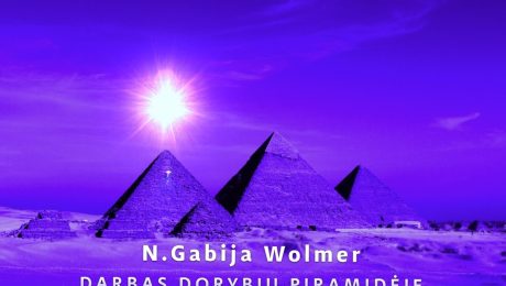 N. Gabija Wolmer seminaras 2016-11-12-13 DARBAS DORYBIŲ PIRAMIDĖJE, II dalis