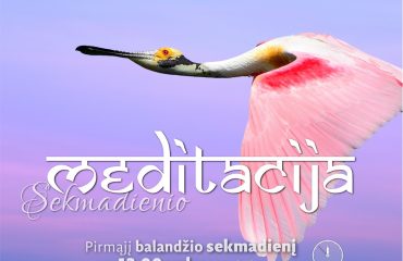 SEKMADIENIO MEDITACIJA. 2017-4-2 12:00