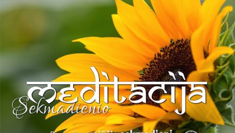 SEKMADIENIO MEDITACIJA. 2017-8-6 12:00