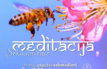 SEKMADIENIO MEDITACIJA. 2017-5-7 12:00