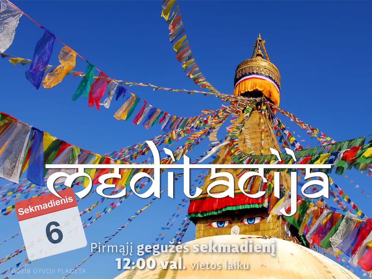 Sekmadienio meditacija 2018 05 06