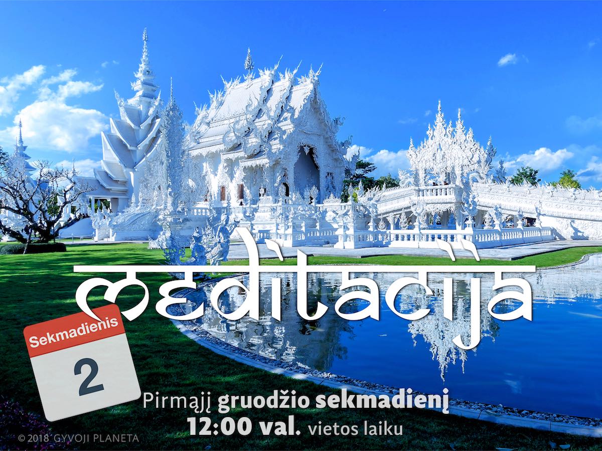 Sekmadienio meditacija 2018 12 02