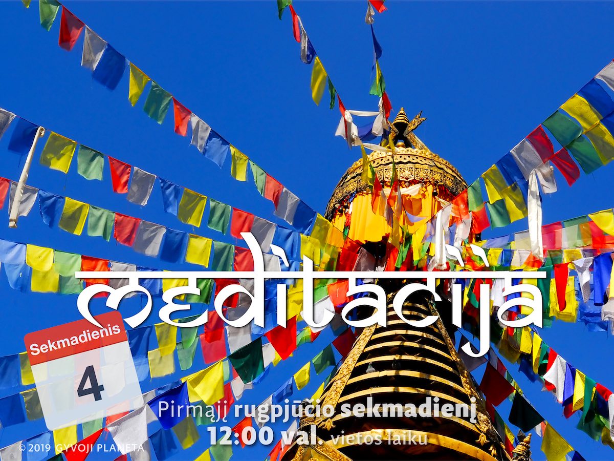 Sekmadienio meditacija 2019 08 04