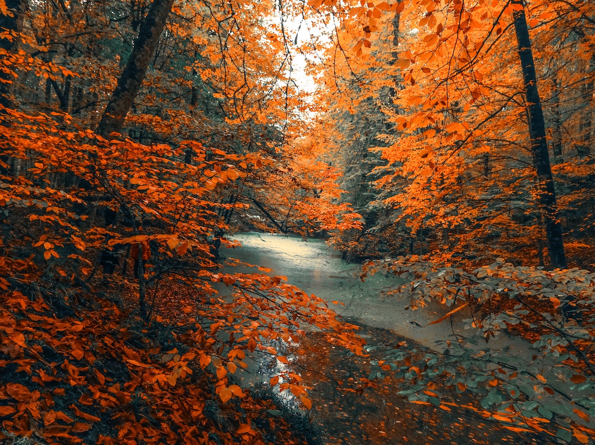 Lapkričio astrologinės tendencijos