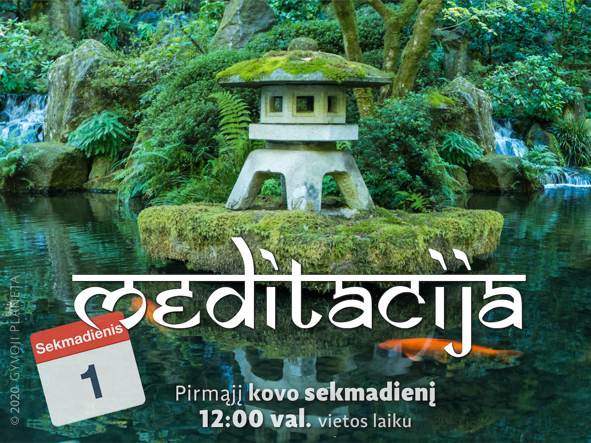 Sekmadienio meditacija 2020 03 01