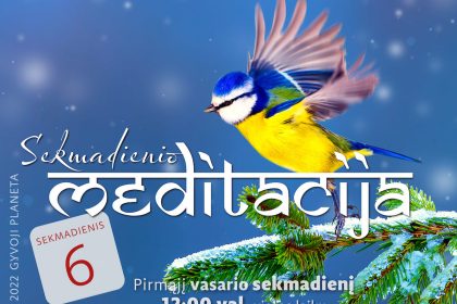 N.Gabija Wolmer. Sekmadienio MEDITACIJA. 2022-2-6 N.Gabija Wolmer. Sekmadienio MEDITACIJA. 2022-2-6