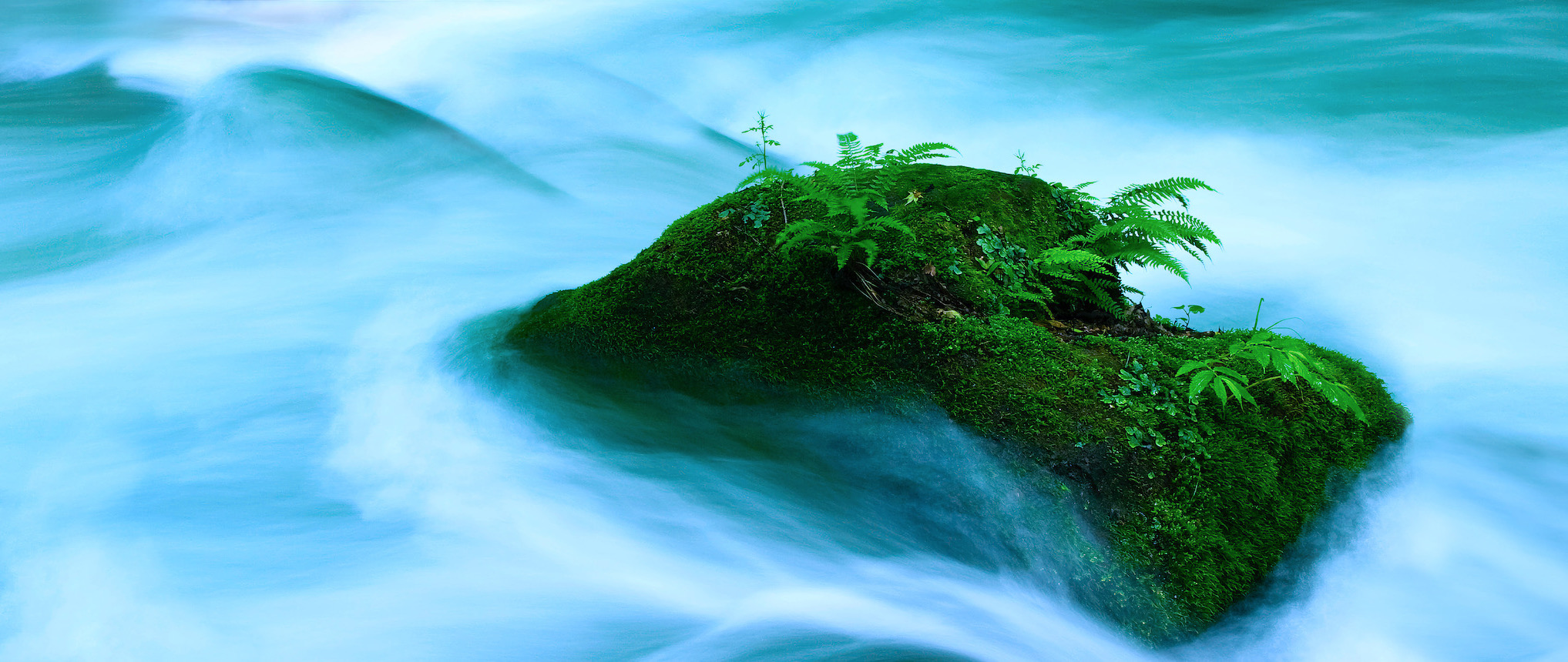 Sekmadienio meditacija 2022 04 03