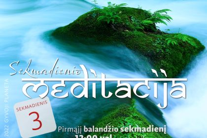 N.Gabija Wolmer. Sekmadienio MEDITACIJA. 2022-4-3 N.Gabija Wolmer. Sekmadienio MEDITACIJA. 2022-4-3