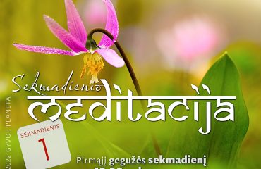 N. Gabija Wolmer. Sekmadienio MEDITACIJA. 2022-5-1