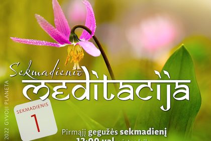 N. Gabija Wolmer. Sekmadienio MEDITACIJA. 2022-5-1 N. Gabija Wolmer. Sekmadienio MEDITACIJA. 2022-5-1