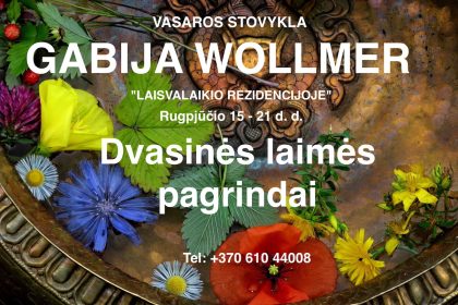 DVASINES LAIMES PAGRINDAI