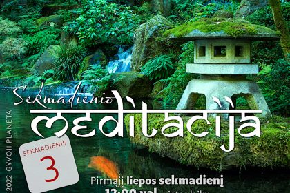 Gabija Wollmer. Sekmadienio MEDITACIJA 2022-7-3 Gabija Wollmer. Sekmadienio MEDITACIJA 2022-7-3