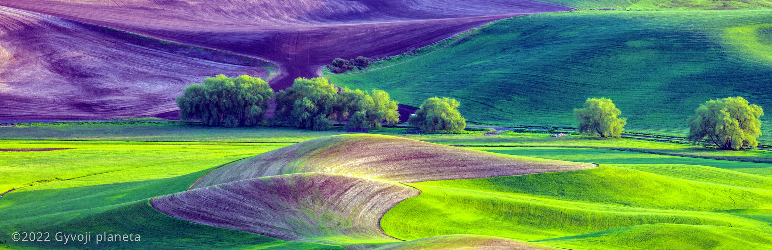 Sekmadienio meditacija 2022 08 07