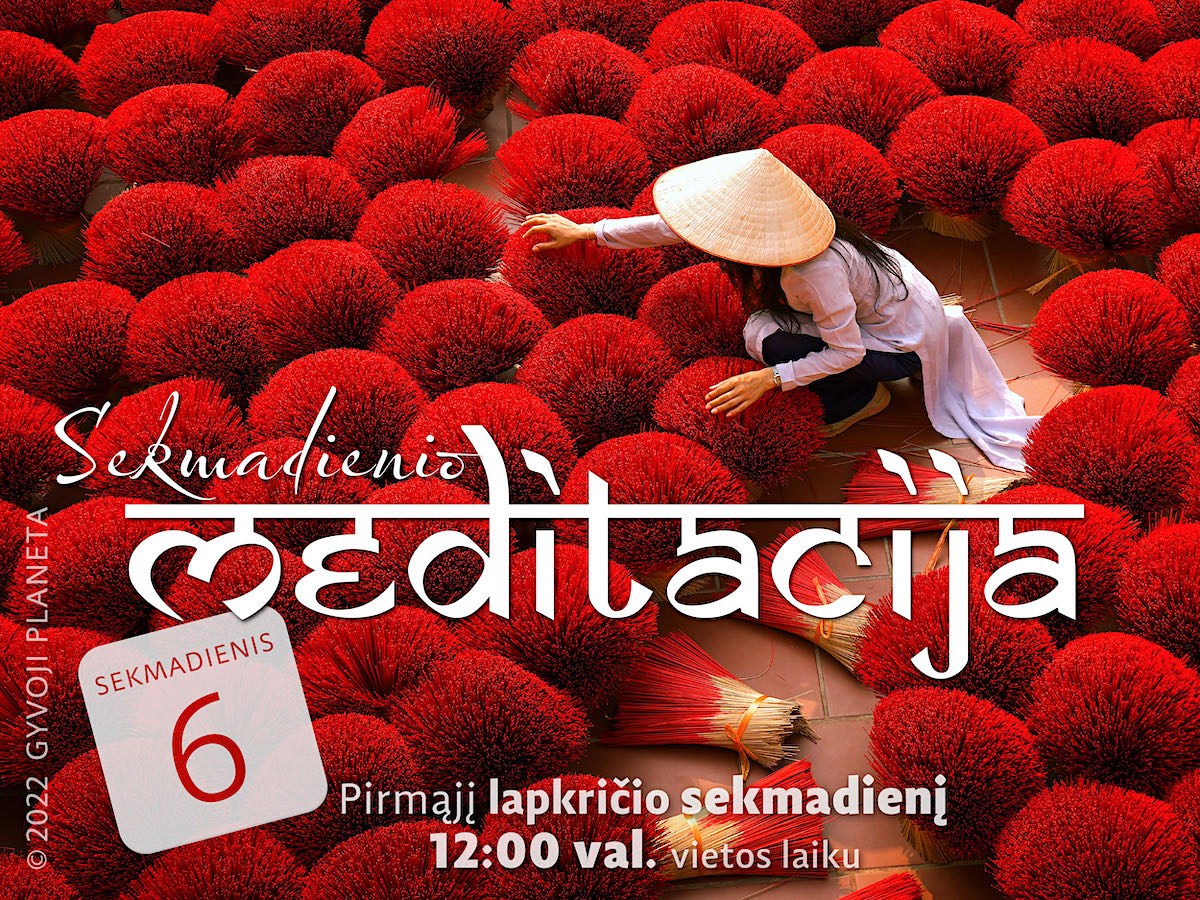 Sekmadienio meditacija 2022 11 06