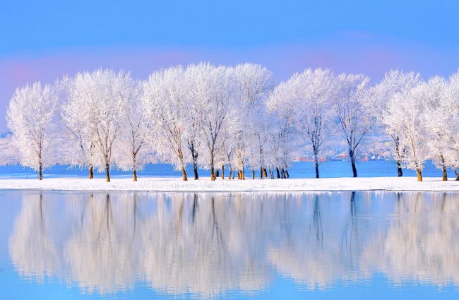 N. Gabija Wolmer. Sekmadienio MEDITACIJA 2023-1-1