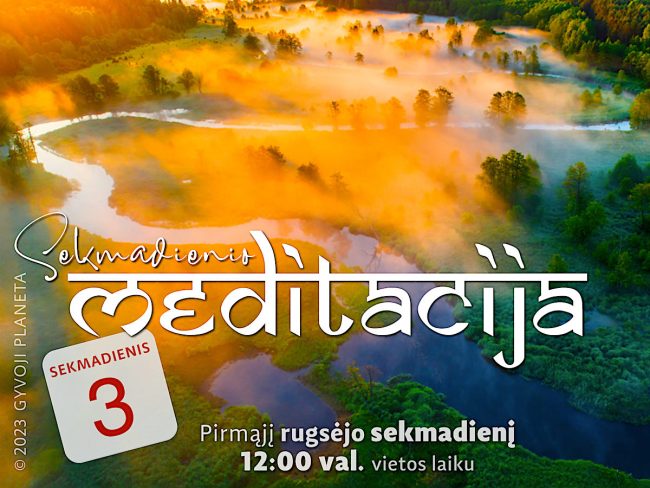 N. Gabija Wolmer. Sekmadienio MEDITACIJA 2023-9-3