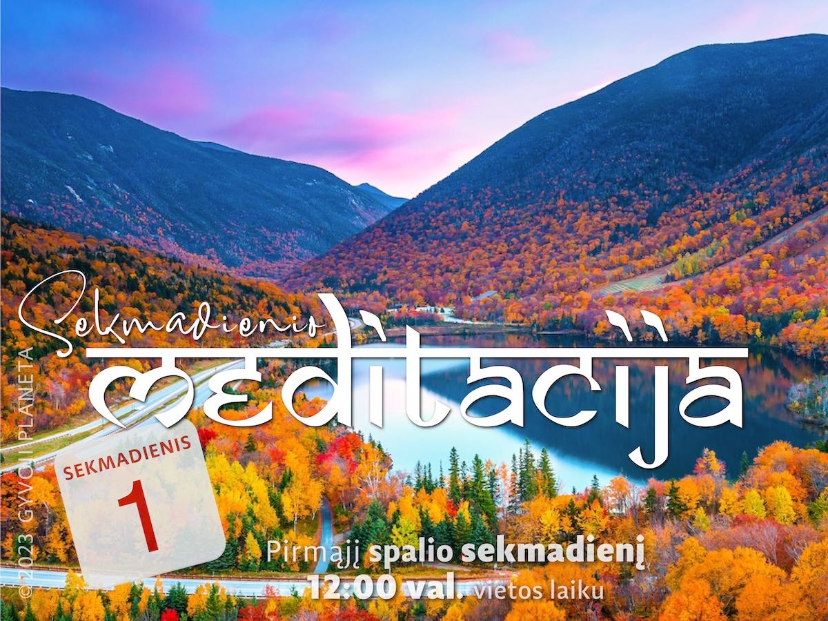 Sekmadienio meditacija 2023 10 01