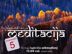 N. Gabija Wolmer. Sekmadienio MEDITACIJA 2023-11-05