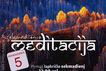 N. Gabija Wolmer. Sekmadienio MEDITACIJA 2023-11-05 N. Gabija Wolmer. Sekmadienio MEDITACIJA 2023-11-05