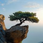 N.Gabija Wolmer. DEVYNI KANTRYBĖS UGDYMO KELIAI