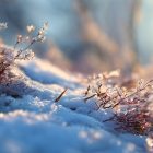 N. Gabija Wolmer. SAVAITĖS ASTROLOGINĖ PROGNOZĖ. I dalis