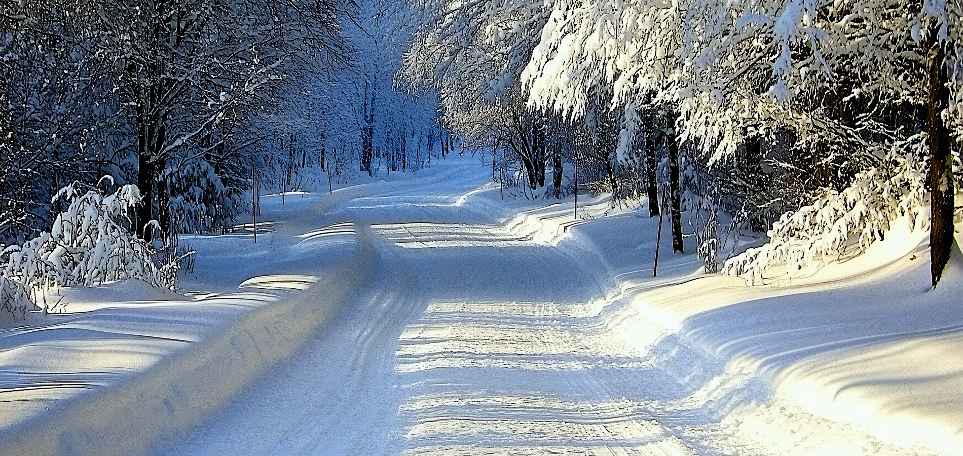 SAVAITĖS ASTROLOGINĖ ANALIZĖ, vasario 16-22 d.