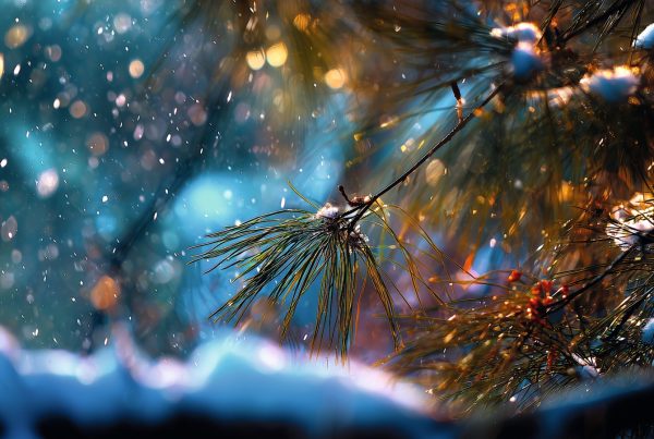 N.Gabija Wolmer. 2026 - SAVAITĖS ASTROLOGINĖ ANALIZĖ VASARIO 23 - KOVO 01