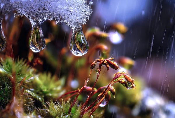 N.Gabija Wolmer. 2026 - Savaitės astrologinė analizė, kovo 02-08 d.