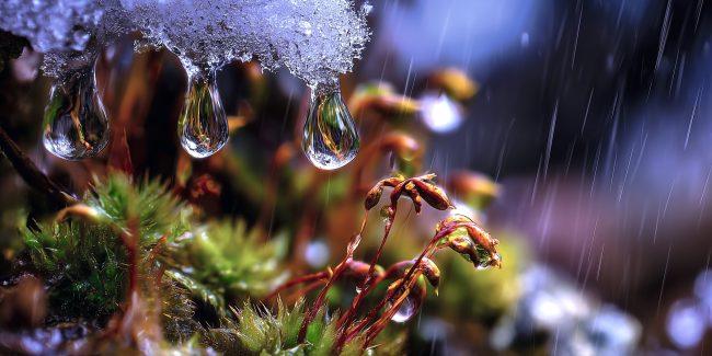 N.Gabija Wolmer. 2026 - Savaitės astrologinė analizė, kovo 02-08 d.