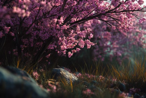 N.Gabija Wolmer. 2026 - Balandžio Mėnulio jaunatis